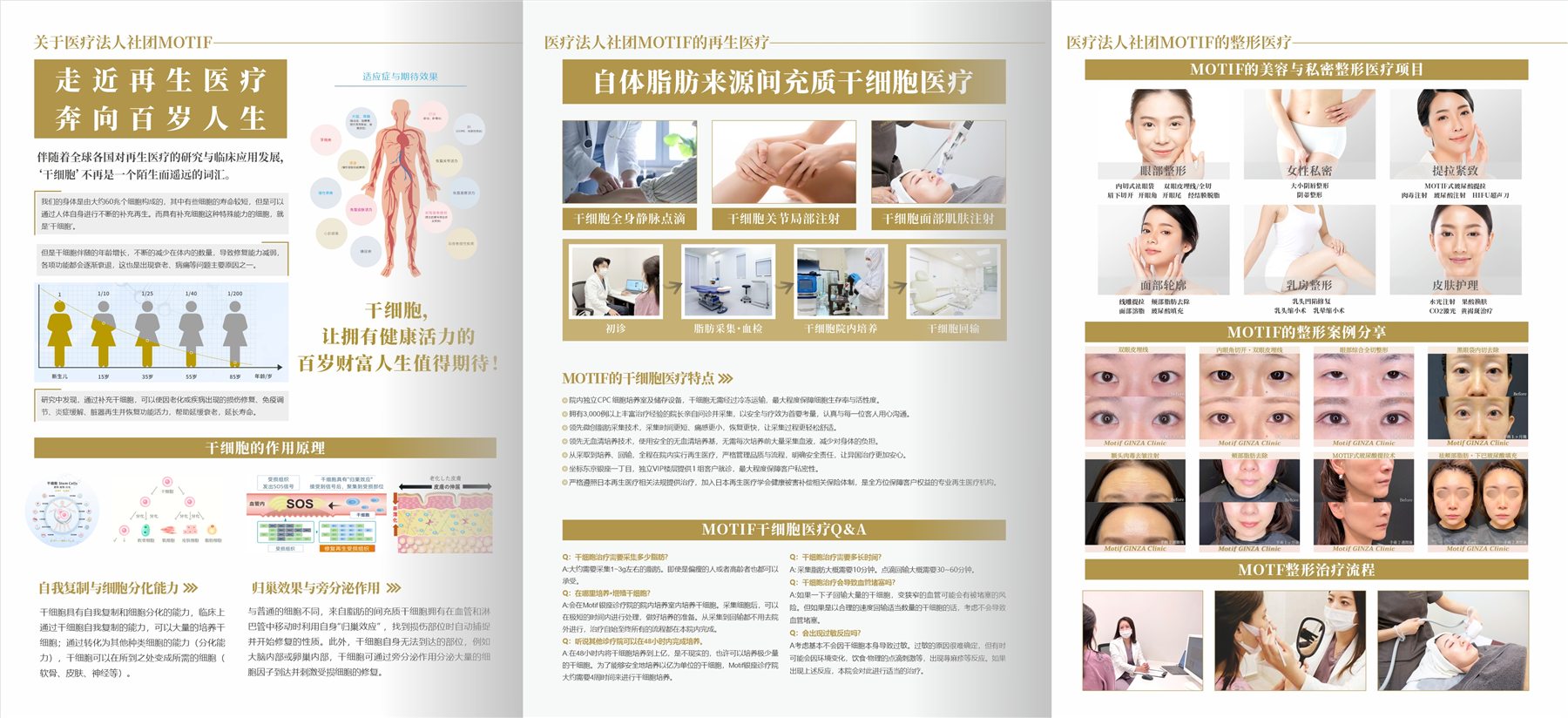 海外向け医療プロモーション資料